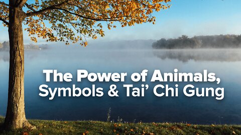 The Power of Animals, Symbols & Tai Chi Gung