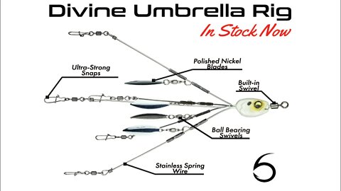 Introducing the Divine Umbrella Rig from 6th Sense Fishing