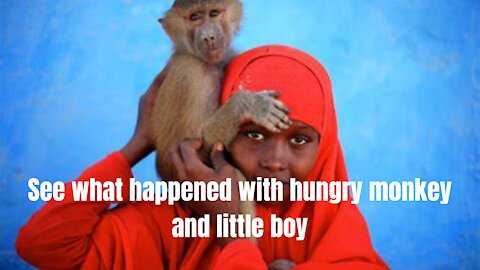 See what happened with hungry monkey and little boy.