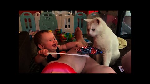 Funny Babies Playing with Dogs and Cats Compilation /Funny Kids