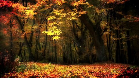 Ultimate Stress Relief & Deep Sleep | Ambient Autumn Forest with Falling Leaves | Relaxation Music