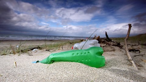 European Parliament Approves Ban On Some Single-Use Plastics