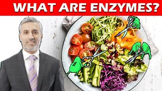 WHY ARE ENZYMES SO IMPORTANT FOR OUR DIGESTION?