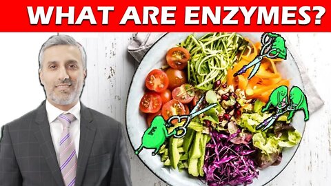 WHY ARE ENZYMES SO IMPORTANT FOR OUR DIGESTION?