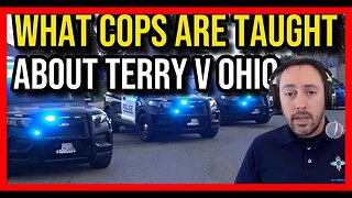 The #Cops Lawyer describes his understanding of Terry vs. Ohio #deletelawz #TerryVsOhio