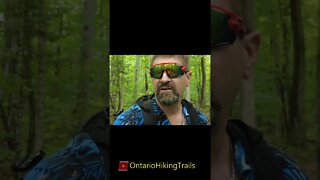 Ontario Hiking Trails #short #shortvideo #hiking