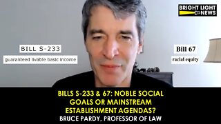 Bills S-233 & 67: Noble Social Goals or Mainstream Establishment Agendas?