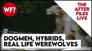 After Files Live: Dogmen, Hybrids, Werewolves