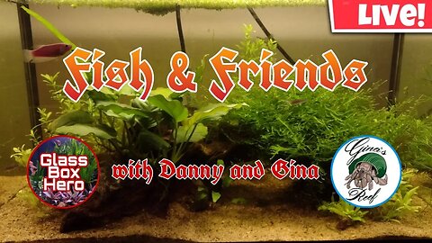 Fish & Friends with Danny and Gina | Season 2, Episode 23