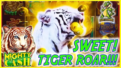 WILD ROLLER COASTER BIG KITTY COMEBACK!!! Mighty Cash Tiger Roar Slot