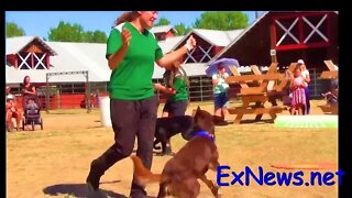 Superdogs at Salmon Arm Fall Fair 2022