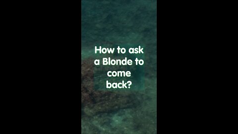 Joke. How to ask a blonde to..