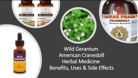 American Cranesbill - Wild Geranium - Herbal Medicine - Benefits, Uses & Side Effects