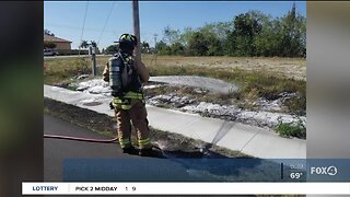 Ospreys cause Cape Coral power outage