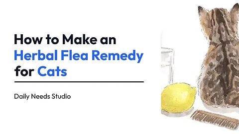 3 Ways to Make an Herbal Flea Remedy for Cats | Daily Needs Studio