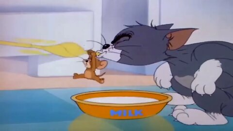 Tom And Jerry Bangla Cartoon New Dubbing Video Funny Tom And Jerry Bangla 5