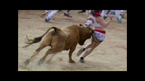 The best most impressive bullfighting festival funny crazy bull