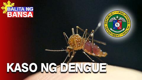 Kaso ng Dengue sa Pilipinas, may pagbaba sa unang bahagi ng Mayo —DOH