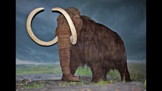 5 Extinct Animals That May Still Exist