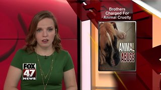Brothers charged for animal cruelty