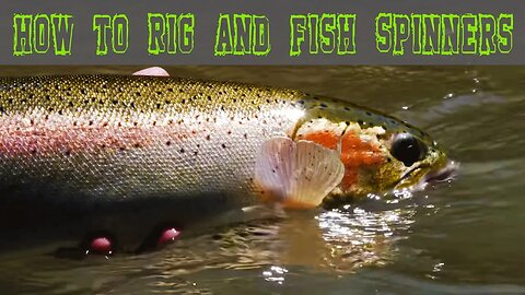 How To Rig And Fish Spinners For Steelhead And Trout