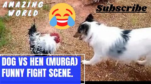 #shortfeed|#short|Chicken Vs Dog Fight: