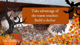 Take Advantage of the Warm Weather: Build a Shelter Part 1