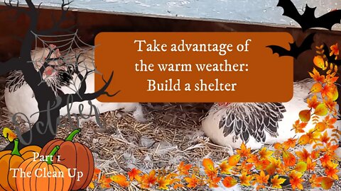 Take Advantage of the Warm Weather: Build a Shelter Part 1