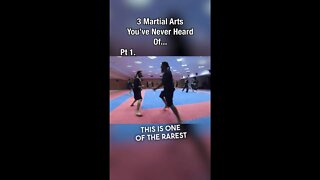 Martial Arts You've NEVER Heard Of...🥋😳 #shorts #martialarts