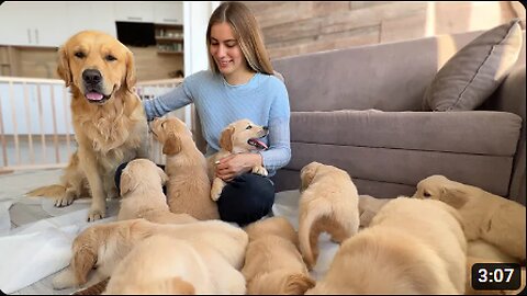 "🐶 Cuteness Overload: The World's Most Adorable Puppies!"