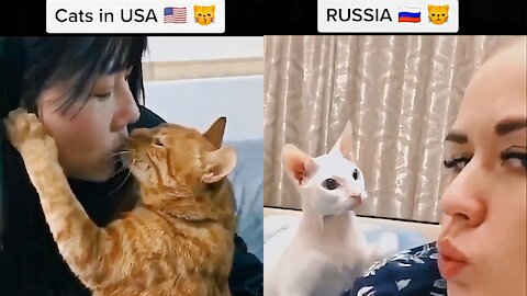 Animals in USA vs Animals in Russia 😱