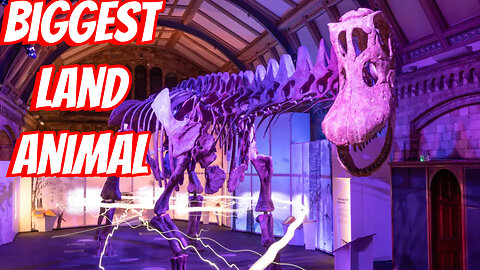 How Largest Land Animal To Ever Exist!