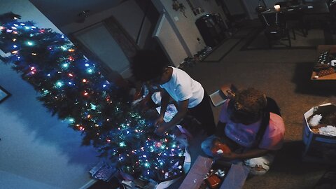 Blasian Babies Family Builds Our Christmas Tree During The Thanksgiving Holiday (GoPro Ibiza Filter)
