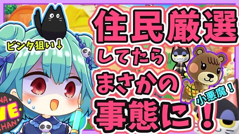 【あつ森】初めての住民厳選に挑戦！ビンタくんが来てくれると信じて！【ホロライブ】