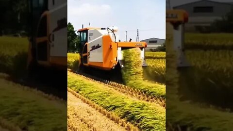 Advanced Rice Harvester - Rice Farming