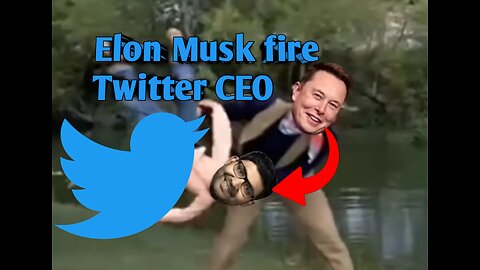 Elon Musk fire Twitter CEO