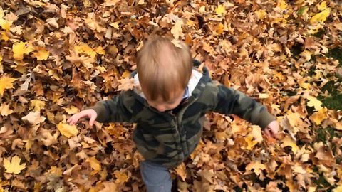 Boy Gets Lost In Giant Leaf Pile