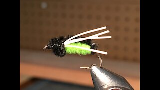 Fly Fishing and Tying the Hum Bug Fly