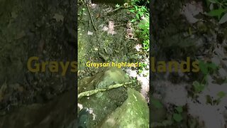 Exploring waterfalls #hiking along the Cabin Creek trail at Grayson a highlands