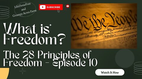 What is Freedom? 28 Principles of Freedom - Episode 10