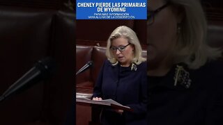 Candidata de Trump gana primarias republicanas de WY; Liz Cheney pierde el escaño en la Cámara | NTD