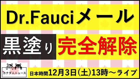 11.29 のり弁からハンバーグ弁当