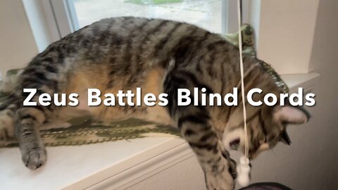 Zeus Battles Blind Cords