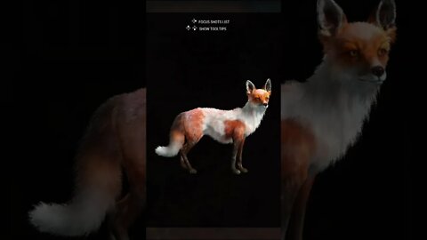 FIRST Piebald 🦊 Red Fox - theHunter: Call of the Wild #shorts