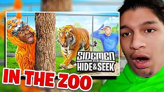 American Reacts to SIDEMEN HIDE & SEEK IN A ZOO