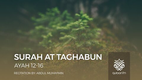 Surah At Taghabun Ayah 12-16 | Abdul Muhaymin