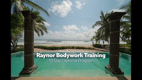 The ULTIMATE Raynor Bodywork Course