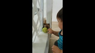 Baby and dog invent new method of playing fetch