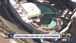 Dolphinaris laying off workers ahead of 'temporary' closure