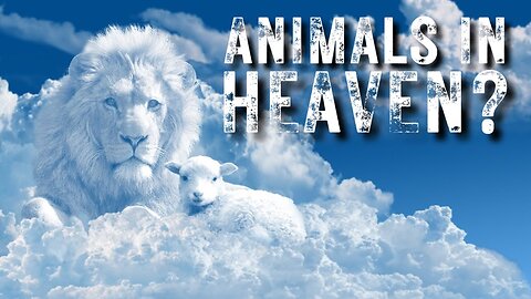 God's Relationship With Animals | Genesis 1:24-25